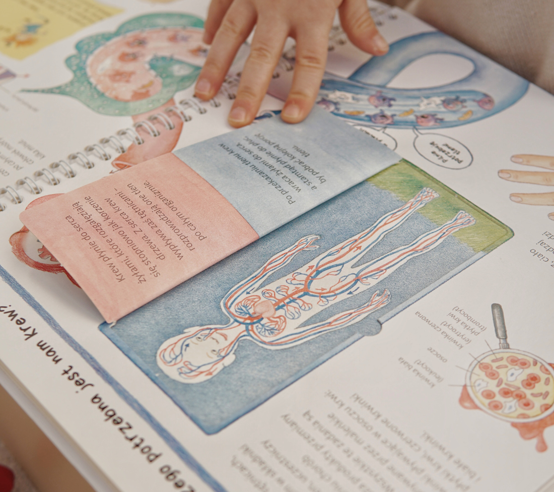 Poznajemy nasze ciało - książka z okienkami dla dzieci