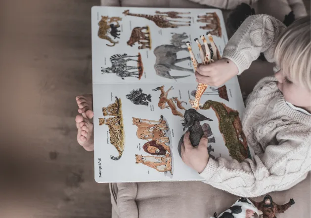 zwierzęta książka dla dzieci zabawki figurki schleich