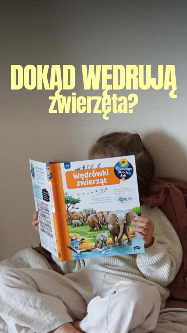 Twoje dziecko kocha dzikie zwierzęta i chce wiedzieć o nich WSZYSTKO?Poznajcie książkę popularnonaukową, która pozwala prześledzić wędrówki zwierząt niczym w najlepszym dokumencie BBC… tylko w sposób dopasowany do wieku dziecka!‼️𝗨𝗪𝗔𝗚𝗔, 𝗟𝗜𝗞𝗪𝗜𝗗𝗔𝗖𝗝𝗔 𝗠𝗔𝗚𝗔𝗭𝗬𝗡𝗨! -𝟮𝟬% 𝗧𝗬𝗟𝗞𝗢 𝗗𝗢 𝗪𝗬𝗖𝗭𝗘𝗥𝗣𝗔𝗡𝗜𝗔 𝗭𝗔𝗣𝗔𝗦𝗢́𝗪! ✂️ Wpisz 𝗦𝗔𝗟𝗘, a wyślę Ci link 📥𝗦𝗣𝗢𝗥𝗢 𝗧𝗬𝗧𝗨Ł𝗢́𝗪 𝗝𝗨𝗭̇ 𝗭𝗡𝗜𝗞𝗡𝗘̨Ł𝗢 😱 ❤️‍🩹🐘 Dlaczego zwierzęta wędrują i skąd znają trasę?
🐘  Dlaczego niektóre zwierzęta wędrują w grupach, a inne samotnie?
🐘 Które ptaki zostają u nas na zimę, a które odlatują i dokąd?
🐘 Czy zwierzęta morskie też wędrują?
🐘 Jak i po co naukowcy obserwują wędrówki zwierząt?Książka została skonsultowana z dr hab. Grzegorzem Zaleśnym z UP we Wrocławiu.‼️ 𝗨𝗪𝗔𝗚𝗔! To jedna z dwóch ostatnich premier przed likwidacją wydawnictwa, przygotowana już kilka miesięcy temu!
𝗧𝘆𝗹𝗸𝗼 𝗱𝗼 𝘄𝘆𝗰𝘇𝗲𝗿𝗽𝗮𝗻𝗶𝗮 𝘇𝗮𝗽𝗮𝘀𝗼́𝘄!🗨️ Skomentuj 𝗦𝗔𝗟𝗘, a wyślę Ci link do wszystkich książek -20% taniej!#ksiazkidladzieci #przedszkolak #przedszkole #rodzicielstwobliskosci #emocjedziecka